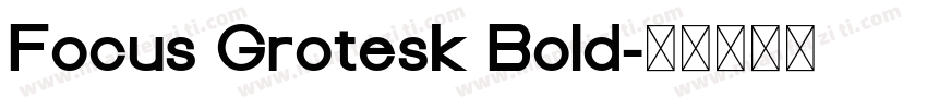 Focus Grotesk Bold字体转换